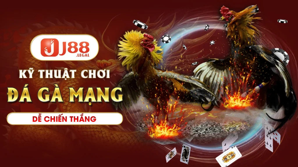 Kỹ thuật chơi đá gà mạng dễ chiến thắng